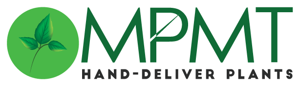 MyPlantMyTaste