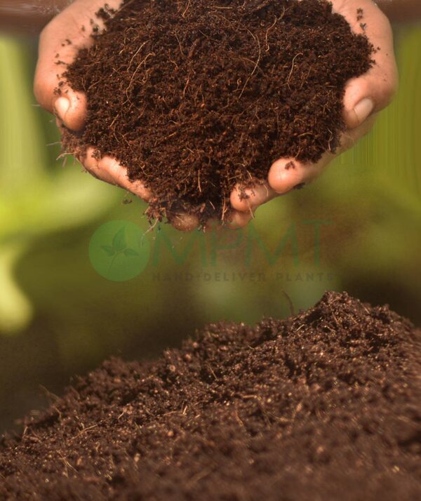Coco Peat 5kg Bag