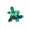 Philodendron Goeldii Plant – Bangalore Delivery
