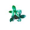 Philodendron Goeldii Plant – Bangalore Delivery - Image 4