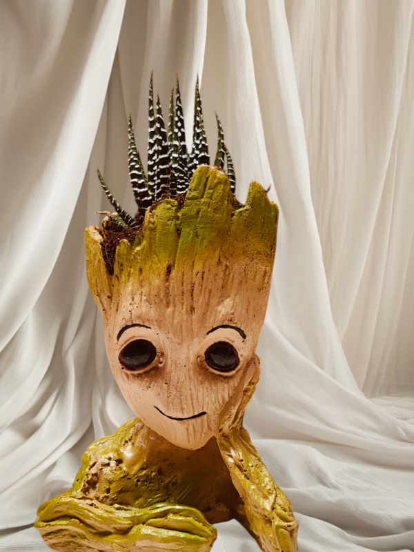 Zebra Plant- Groot Planter - Image 2