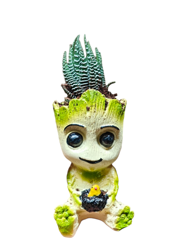 Zebra Plant in Groot Planter - Image 2