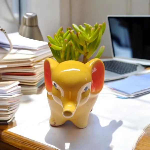 Needle Jade in Yellow Elephant Ceramic Pot – Bangalore Delivery Only - Image 2