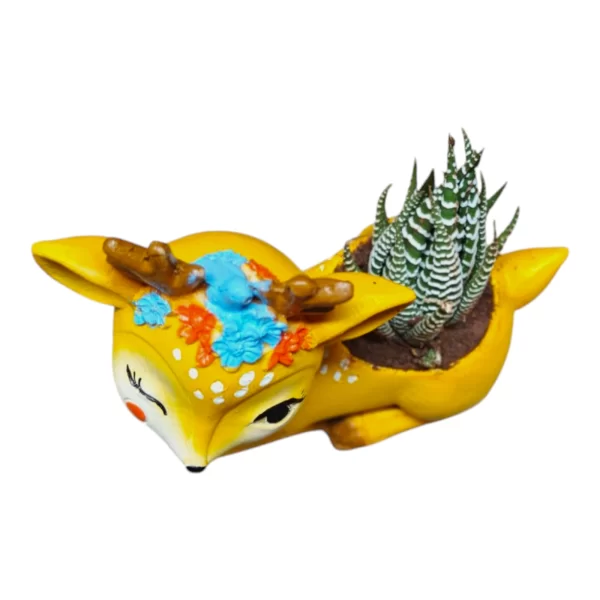Howarthia Zebra succulent in Cute Deer planter