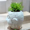 Bush Senecio Succulent in peaceful Buddha planter