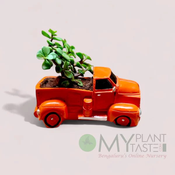 Jade succulent - red truck planter