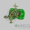 Jade succulent in green vintage car planter