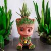 Zebra plant with Brown Groot Big Planter